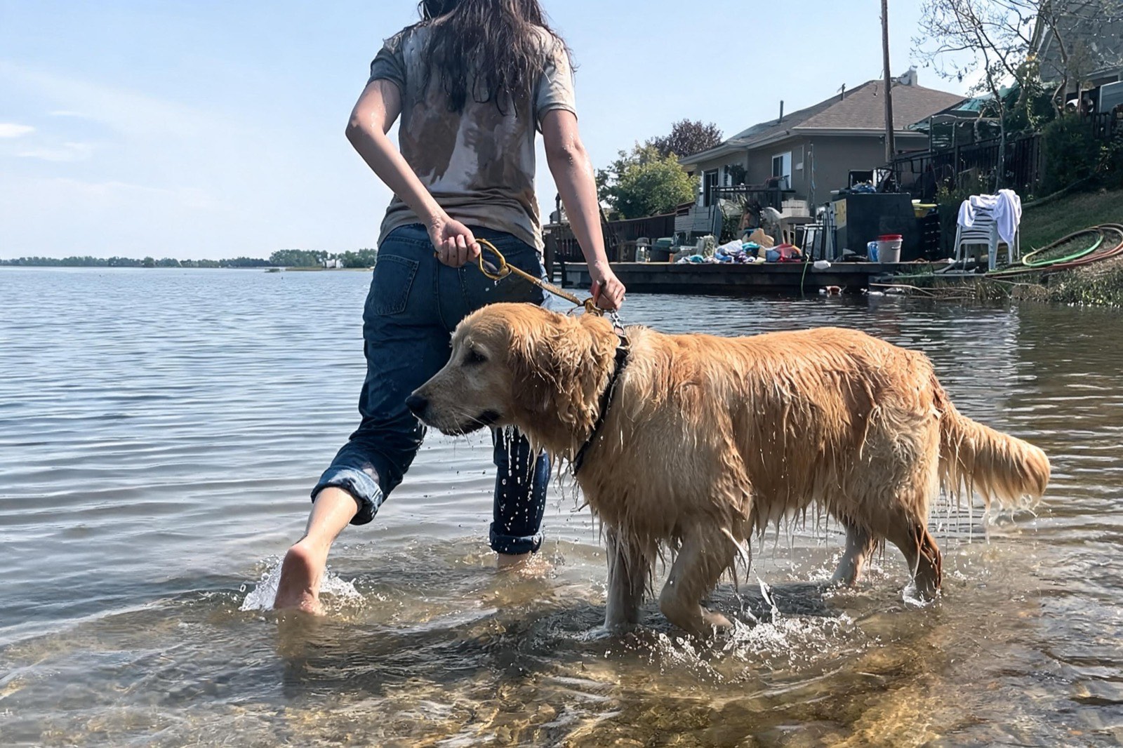 A woman in wet jeans walking a soaking golden retriever out of a lake by his harness handle.
