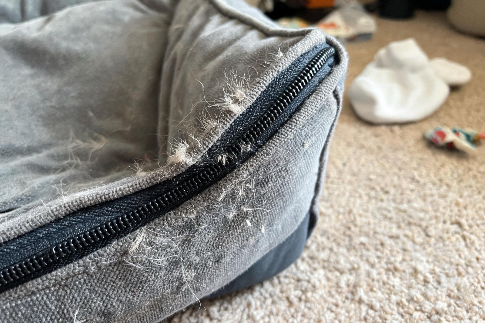 Close-up of a worn canvas dog bed cover with faded edges and a heavy-duty zipper along one side.