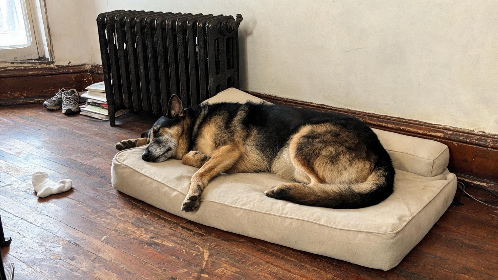 A large black-and-tan shepherd asleep on a plain canvas-covered foam slab beside a radiator.