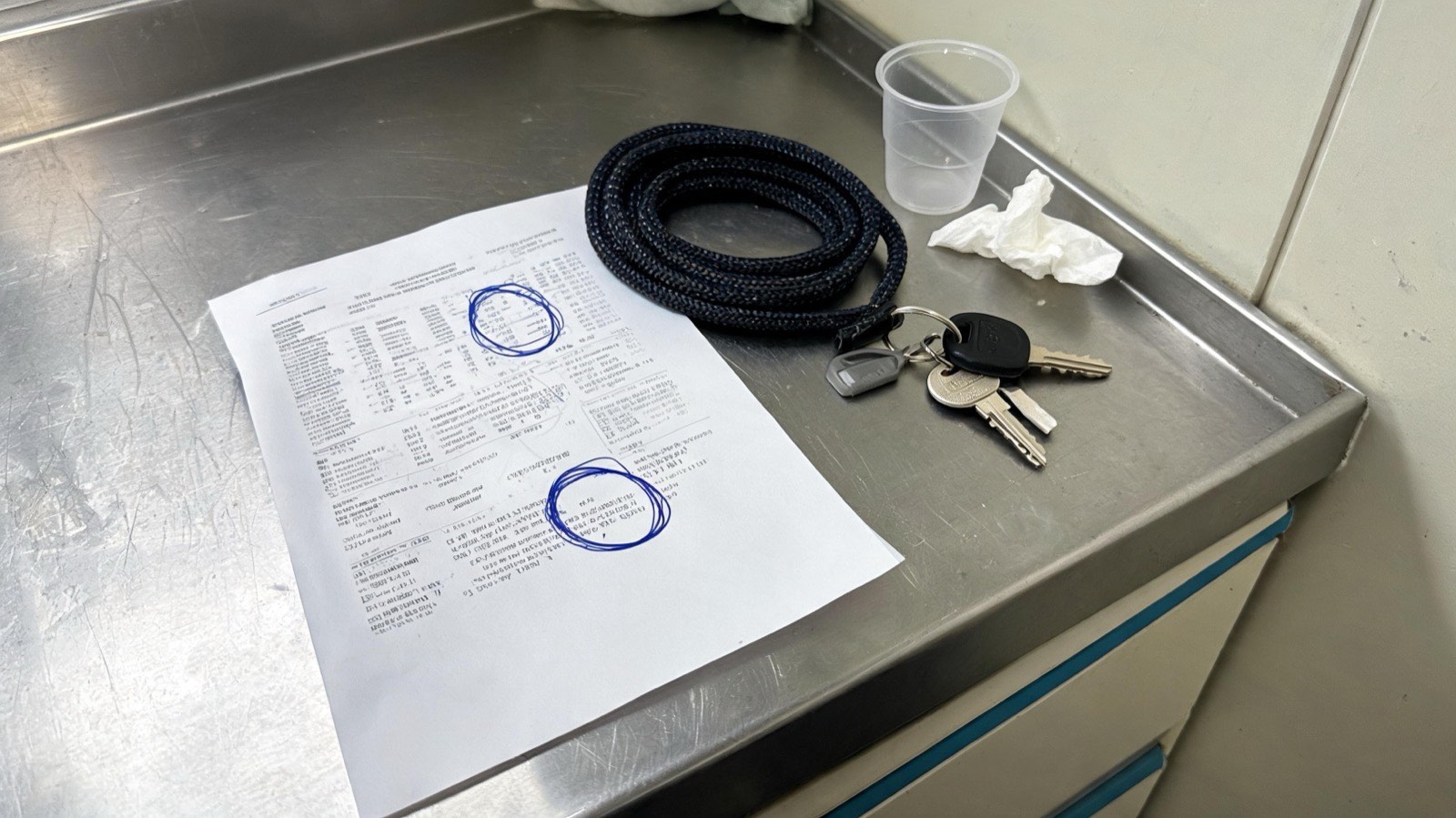 A printed lab report on an exam room counter with a dog leash coiled beside it.